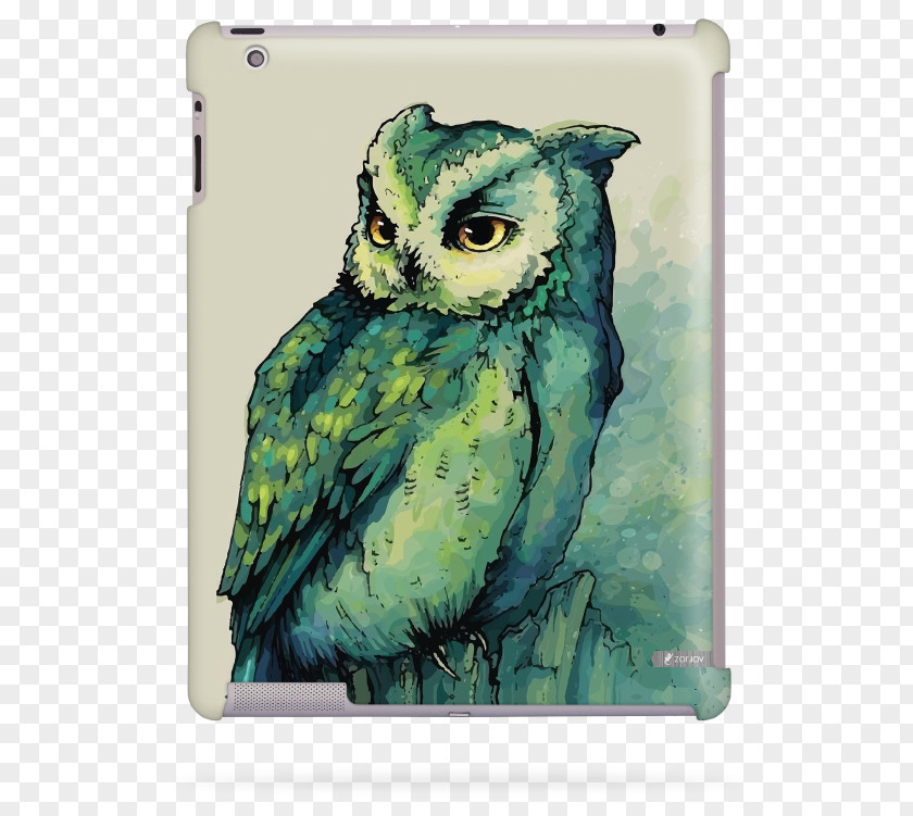 Owl Watercolor Painting Bird PNG