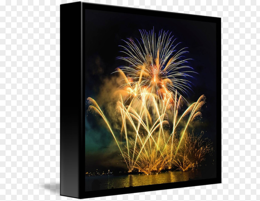 Blurred Lights Wisgoon Night Fireworks Organism Desktop Wallpaper PNG