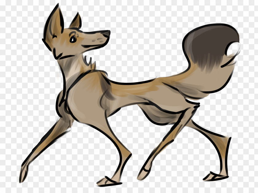 Dog Breed Red Fox Deer Macropods PNG