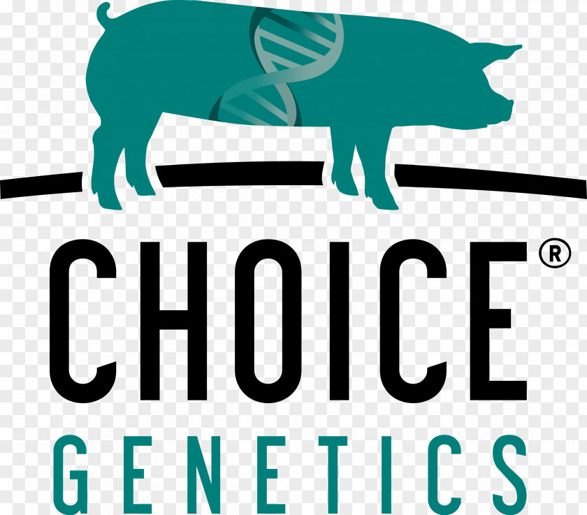 Grimaud Choice Genetics USA, LLC Domestic Pig Animal PNG