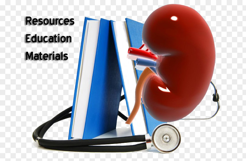 Kidney Obesity Medicine Medical Library Education PNG