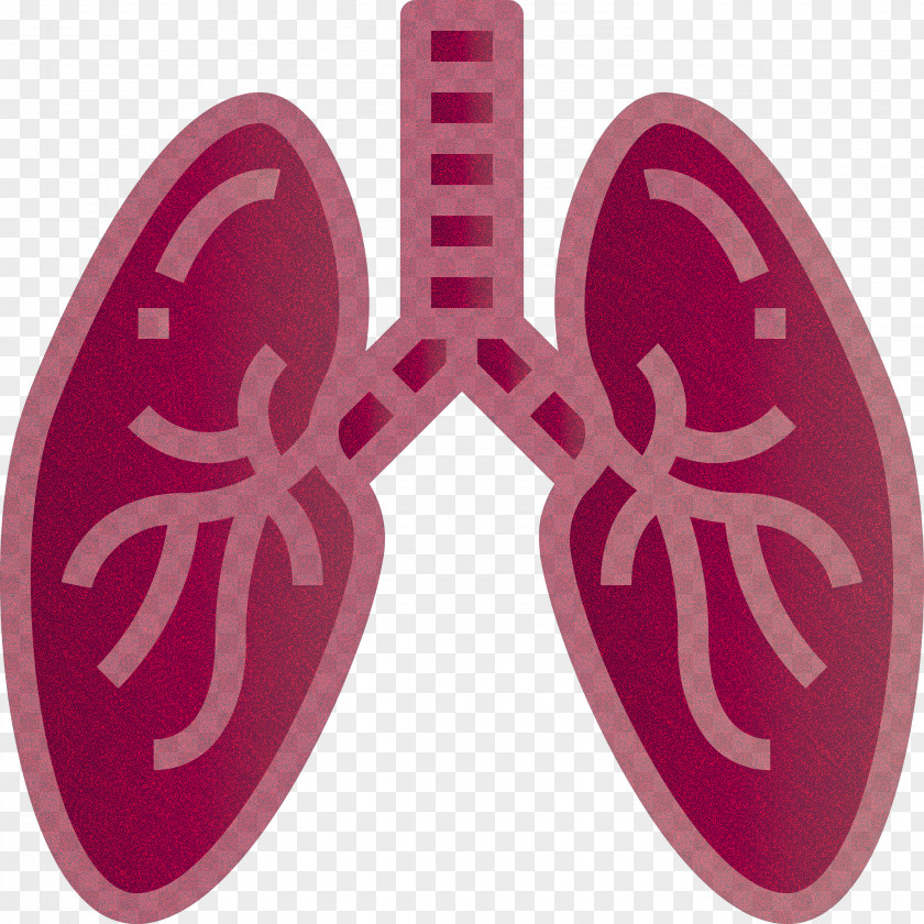 Lung Medical Healthcare PNG