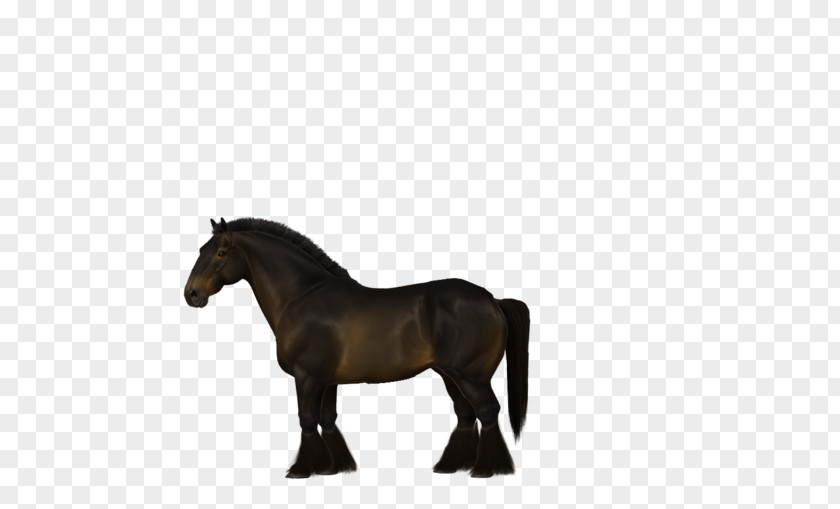 Mustang Mane Stallion Pony Mare PNG