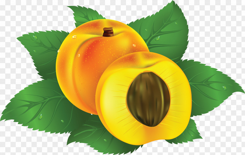 Apricot Juice Fruit Peach PNG