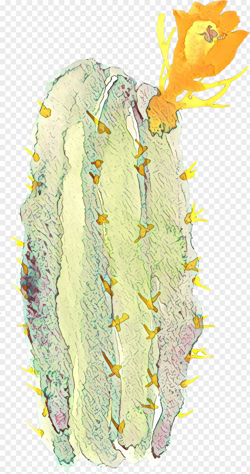 Cactus PNG