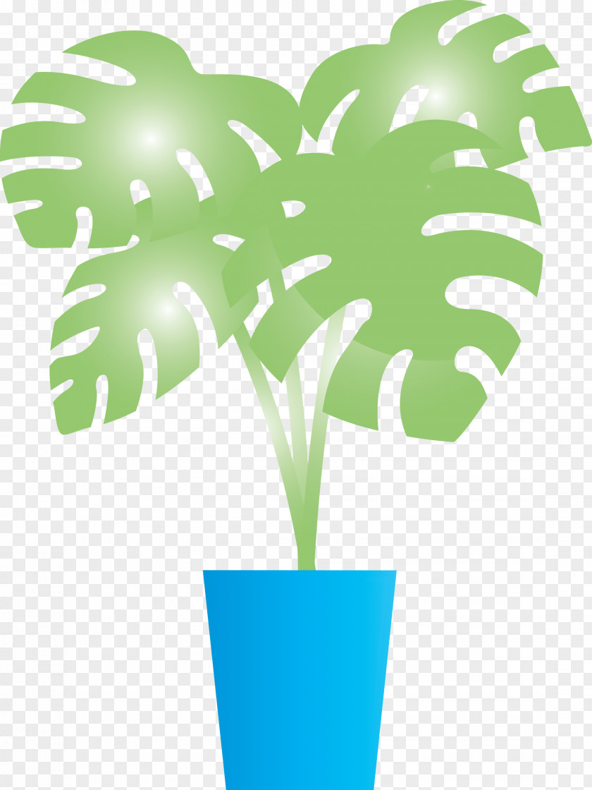 Monstera Tropical Leaf PNG