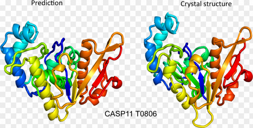 Protein Structure Prediction: Concepts And Applications CASP PNG