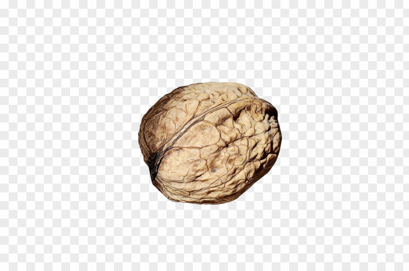 Rock Plant Walnut Nut Food Nuts & Seeds Beige PNG