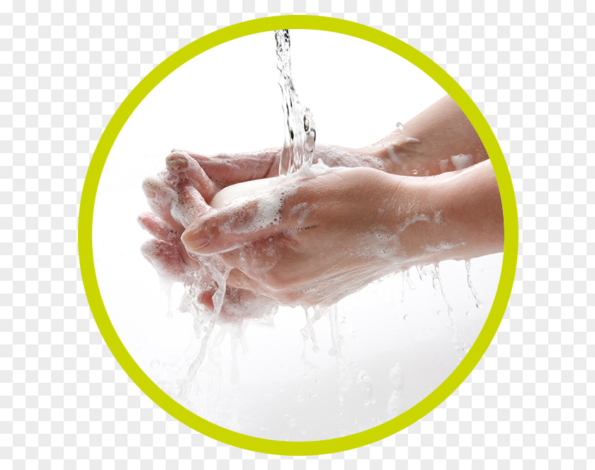 Soap Hand Washing Cleaning PNG
