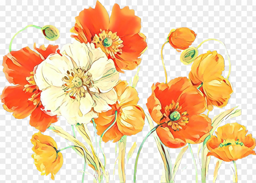 Wildflower Watercolor Paint Orange PNG