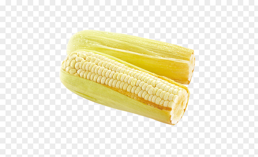 Corn On The Cob Waxy Kernel PNG