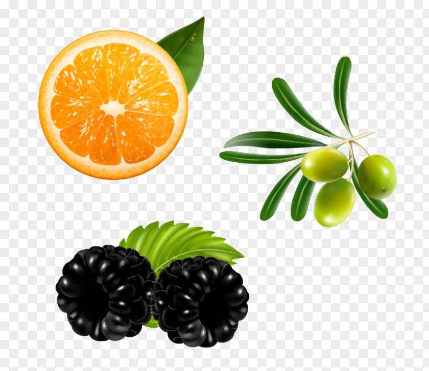 Orange Blackberry And Olives Vegetarian Cuisine Fruit PNG