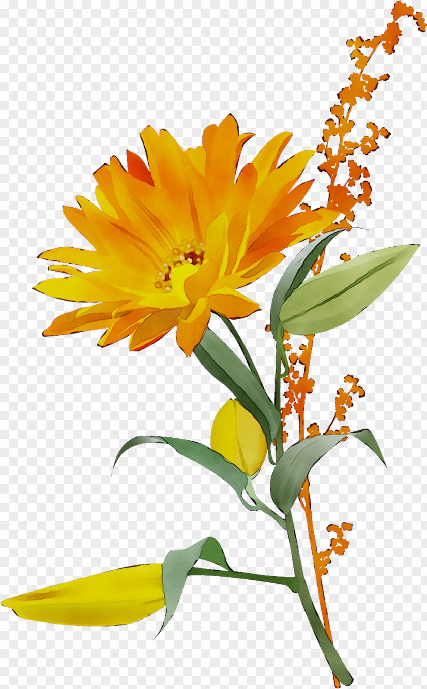 Stock Photography Image Fotosearch Flower PNG