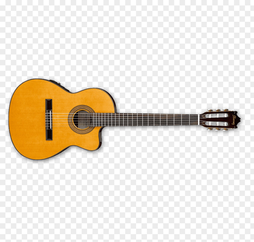 Acoustic Guitar Classical Acoustic-electric Ibanez PNG