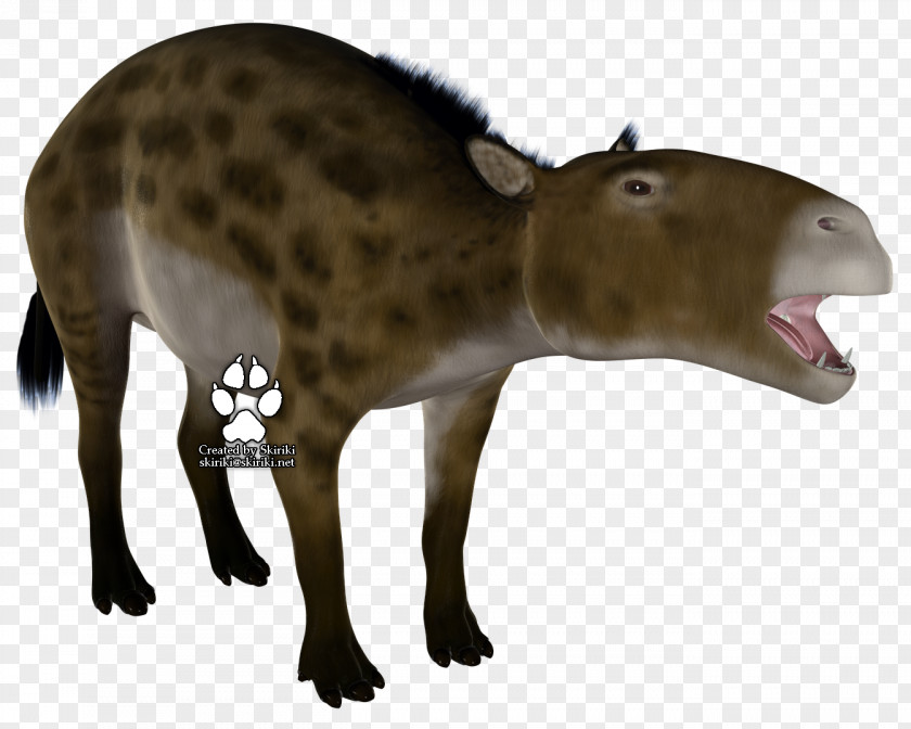 Applauded Eurohippus Propalaeotherium Ungulate Animal Extinction PNG