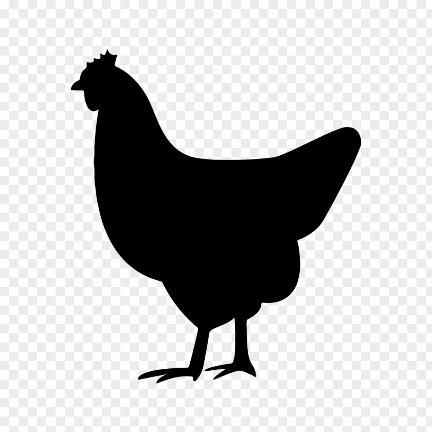 Chicken Rooster As Food Broiler Poultry PNG