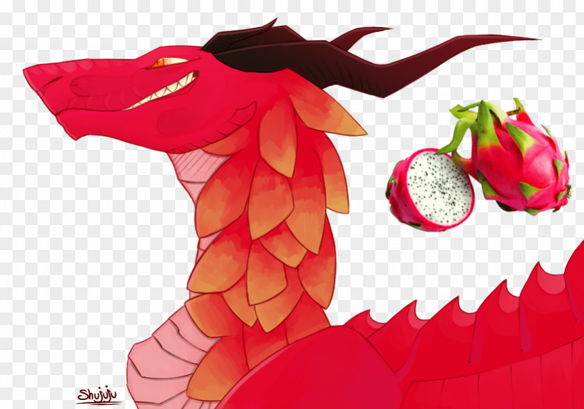 Dragon Fruit Drawing Character Cut Flowers Pitaya PNG