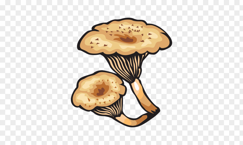 Hand-painted Vector Mushrooms Mushroom Fungus Shiitake PNG