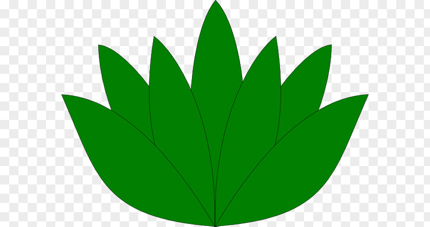Leaf Green Plant Stem PNG