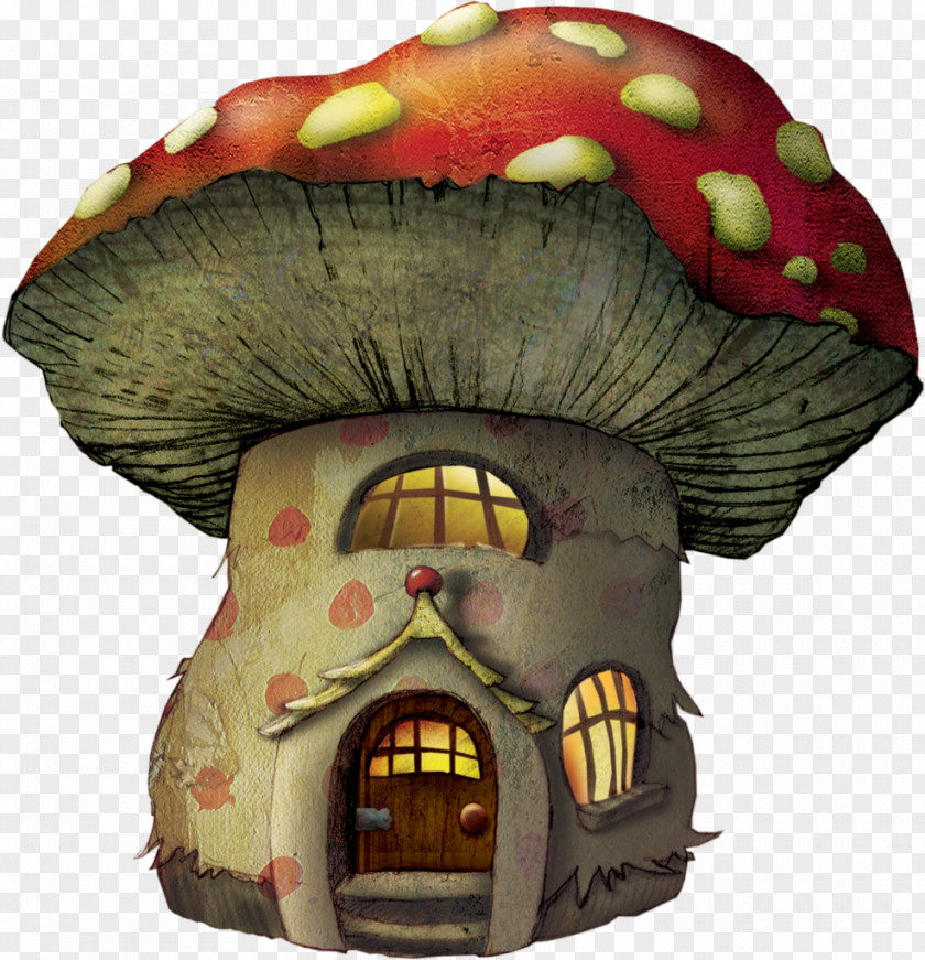 Mushroom Clip Art Image Adobe Photoshop PNG