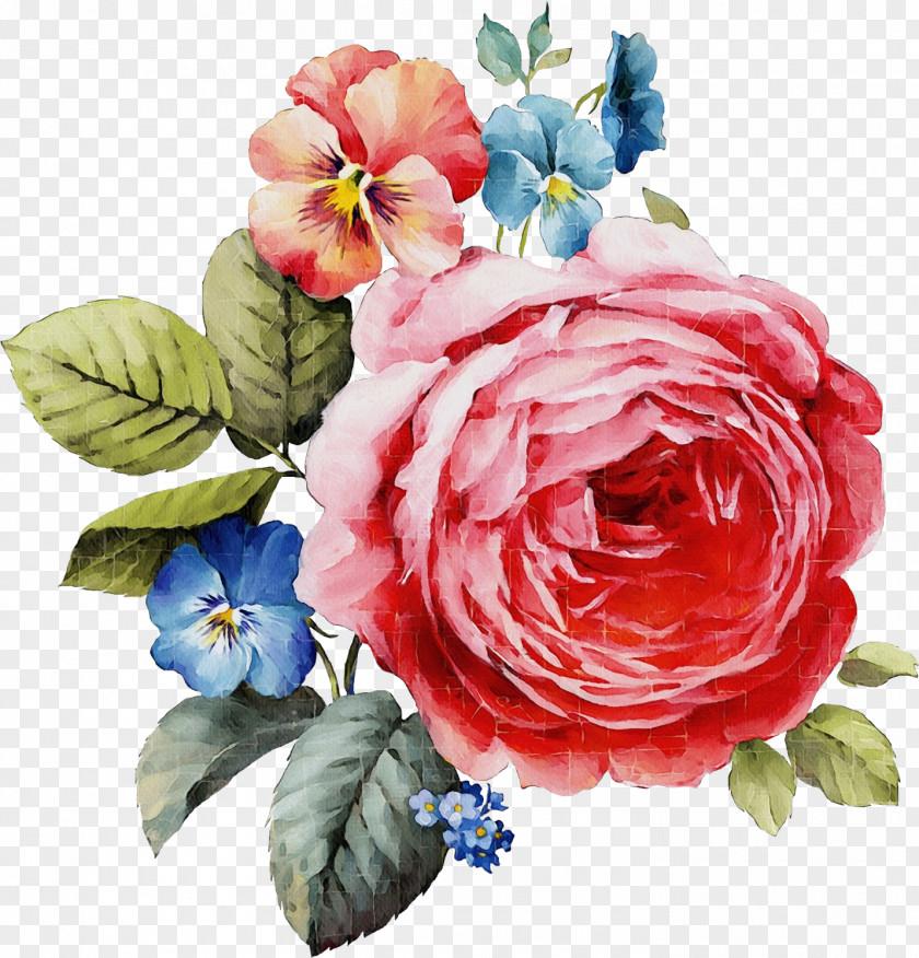 Peony Floristry Flower Art Watercolor PNG
