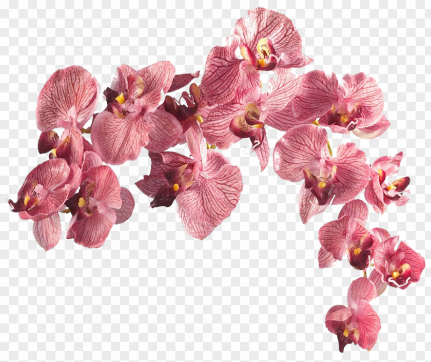 Wedding Flower Dancing-lady Orchid Artificial Silk Moth Orchids PNG