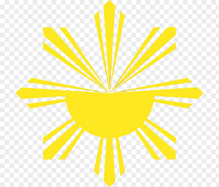 Yellow Drawing Flag Cartoon PNG