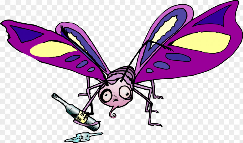 Butterfly Purple Wing Violet Insect PNG