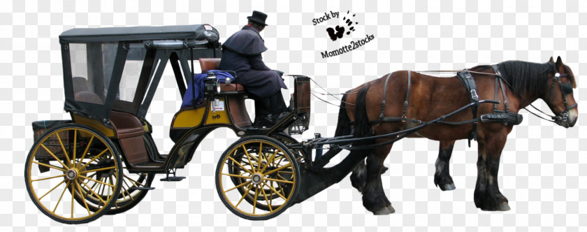 Carriage Horse And Buggy Horse-drawn Vehicle PNG