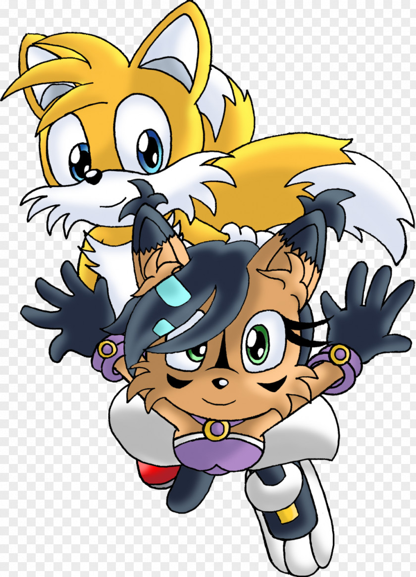 Cat Sonic Chaos Tails PNG