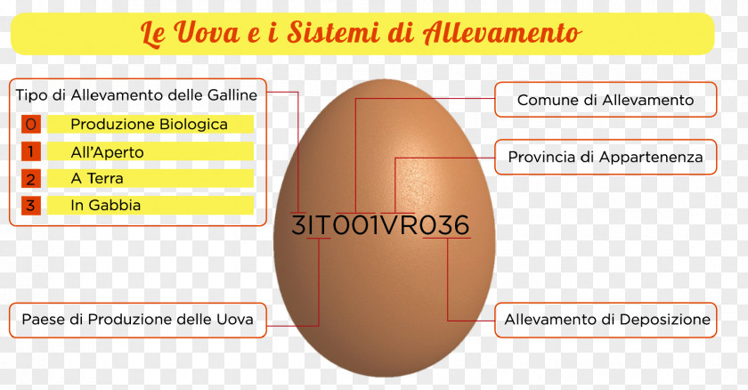 Chicken Egg Food Asmens Tapatybės Kortelė Paper PNG