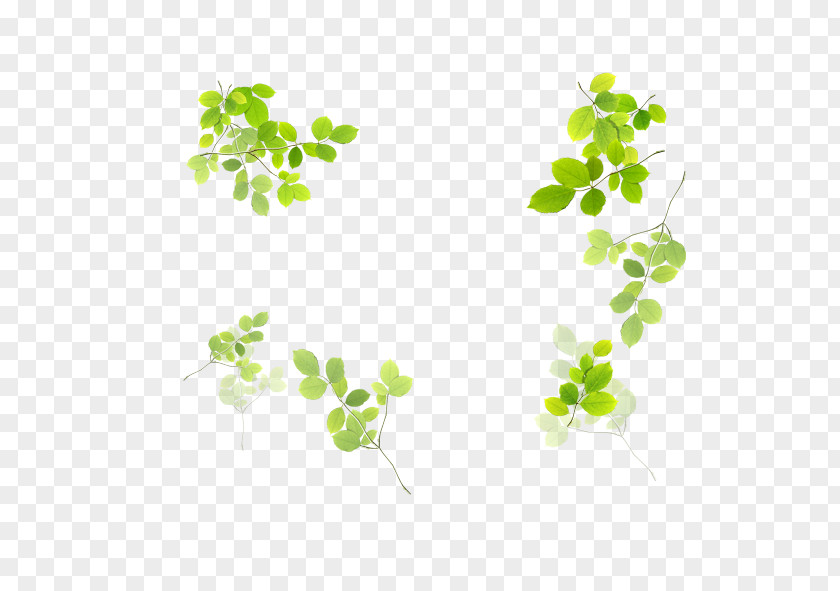 Green Leaves Border Clip Art PNG