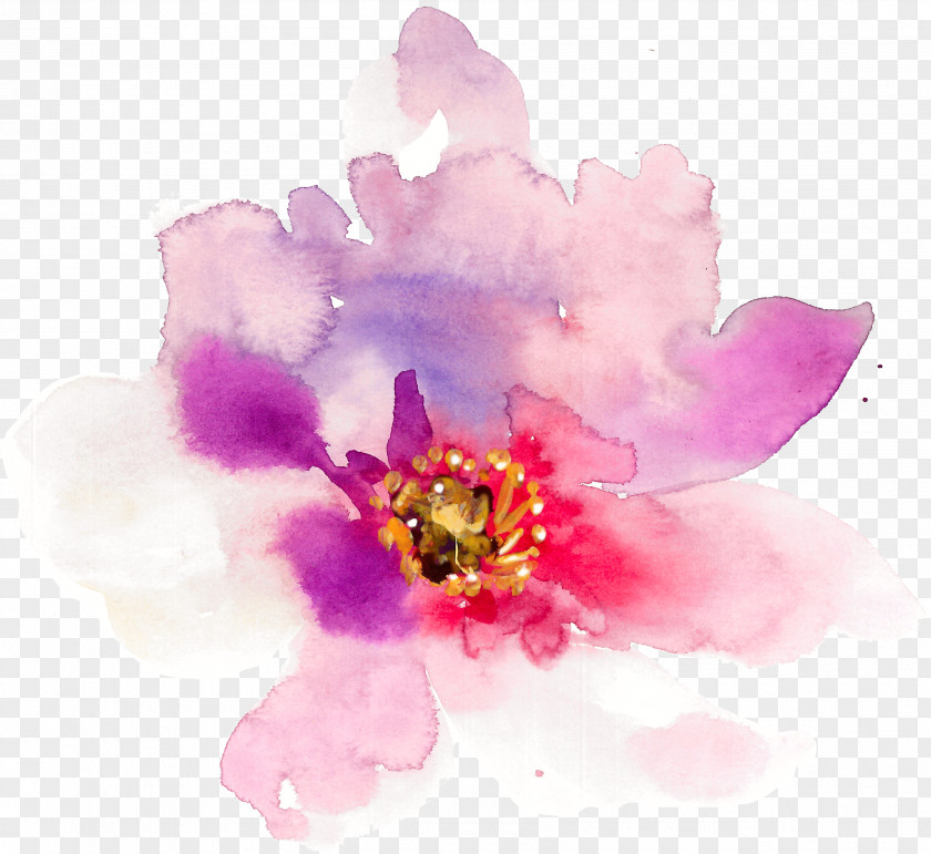 Hand-painted Watercolor Spring Flowers Floral Design Painting PNG