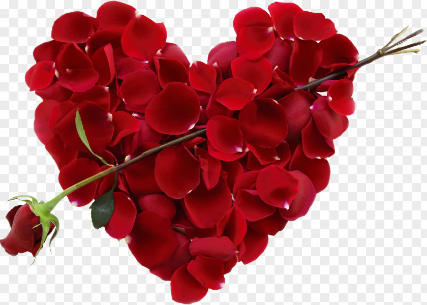 Valentines Day Valentine's Flower Bouquet Floral Design Rose PNG