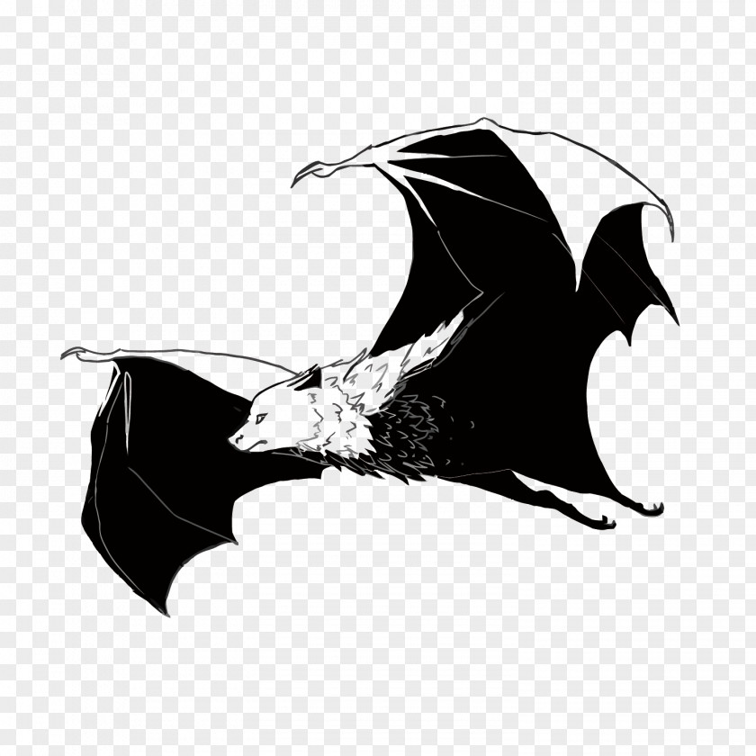 Vector Bat PNG