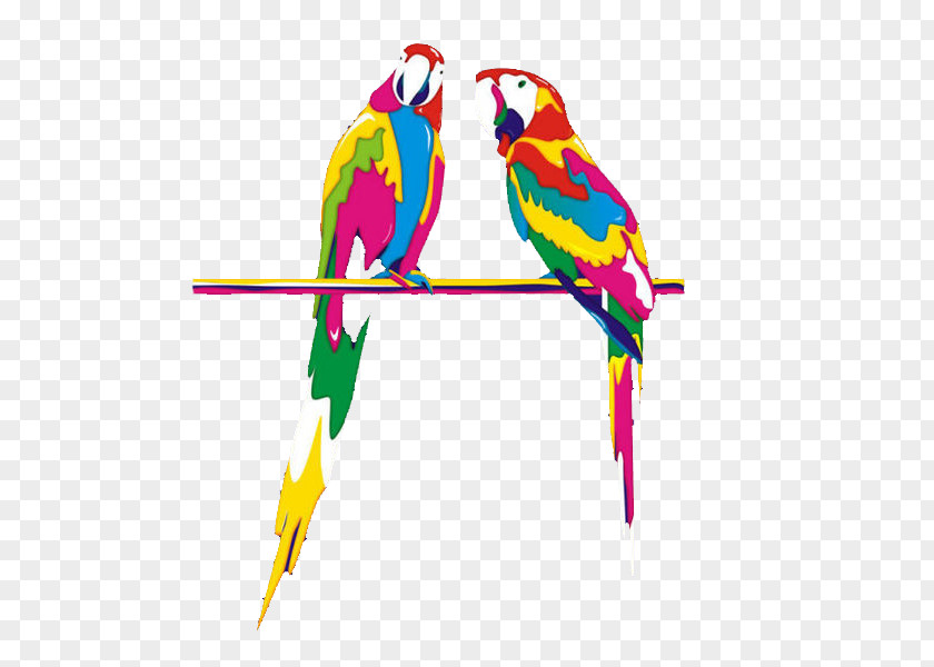 Hand Colored Paint Parrot Budgerigar Bird Macaw Clip Art PNG