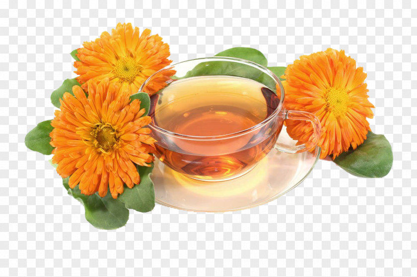 Marigold And Tea-free Material Tea Mexican Calendula Officinalis Flower PNG