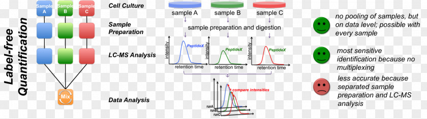 Mass Spectrometry Quantitative Proteomics Zentrum Fuer Molekulare Biologie, University Of Heidelberg Peptide PNG