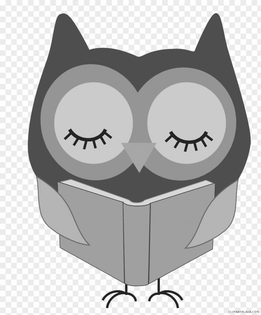 Owl Clip Art Reading Image Free Content PNG