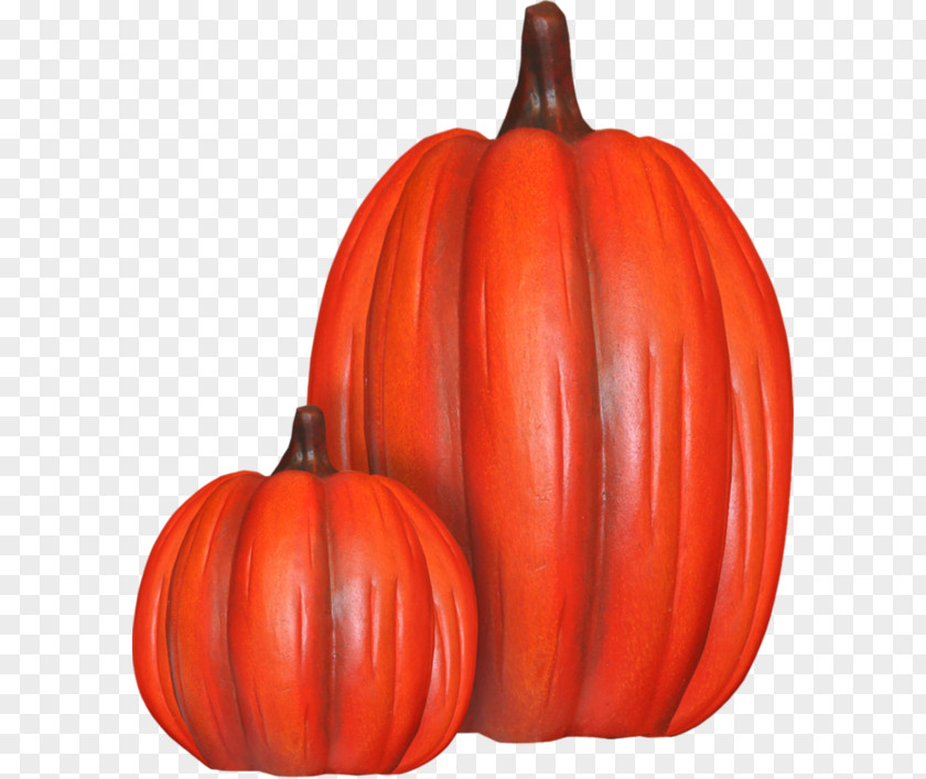Red Pumpkin Calabaza Winter Squash Gourd PNG
