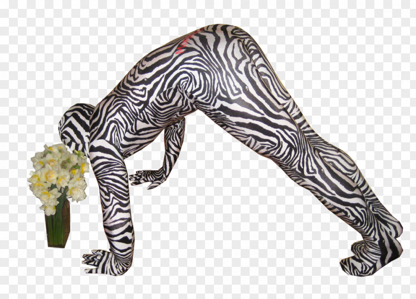 Zebra Morphsuits Costume Leopard Animal Print PNG
