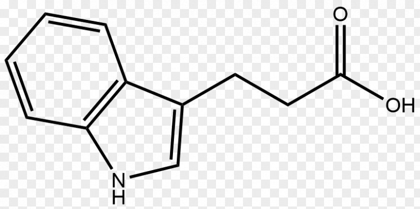 Histidine Amino Acid Isoleucine Phenylalanine PNG