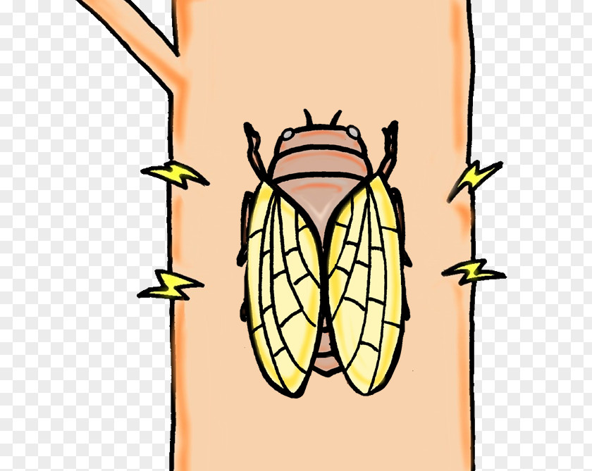 Insect Cicadoidea Clip Art Illustration ガールズちゃんねる PNG