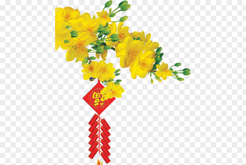 Ochna Integerrima Lunar New Year Image Golden Apricot Blossom Awards Ho Chi Minh City PNG