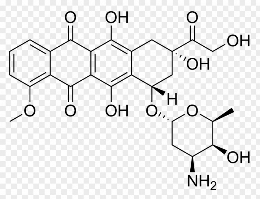 Organization Structure Doxorubicin Chemotherapy Cancer Chemistry PNG