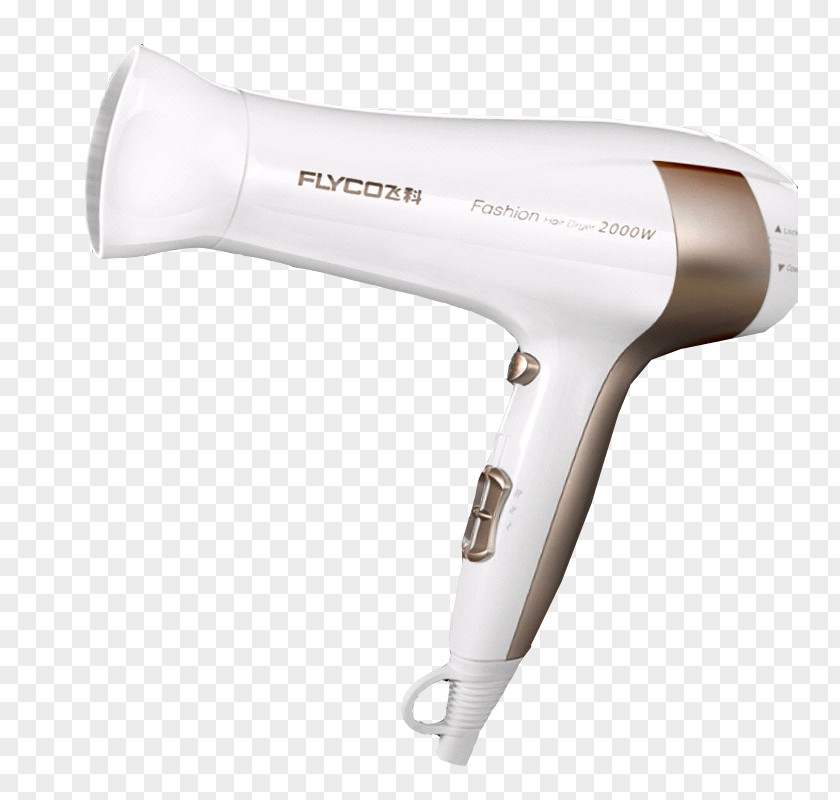 Physical Products Flying Branch Hairdryer Hair Dryer Gratis PNG