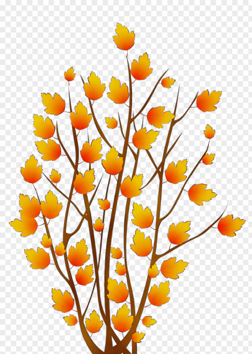 Plant Stem Twig Orange PNG