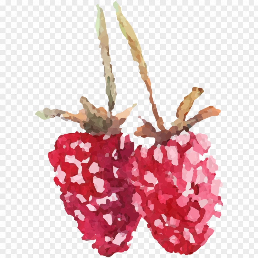 Strawberry Plant Red Raspberry Image Fruit PNG
