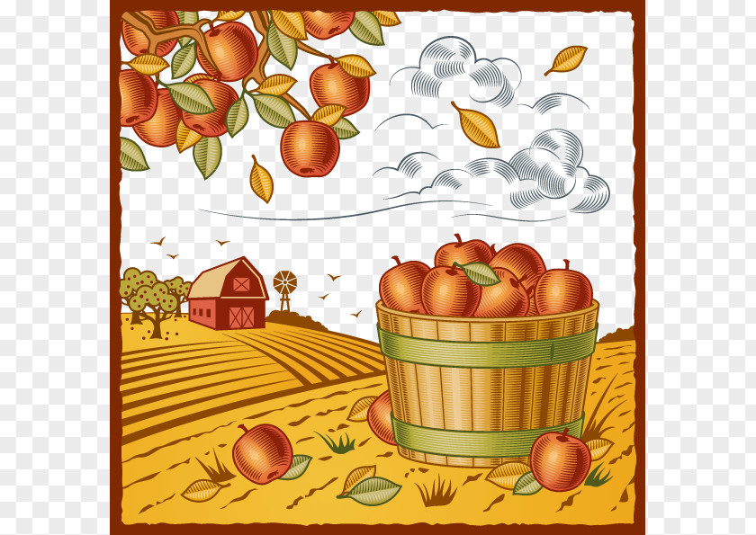 Autumn Fruit Illustration Royalty-free Farm Clip Art PNG