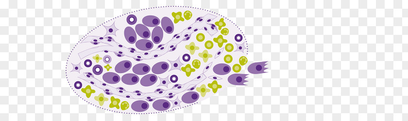 Biopharmaceutical Organism Product Design Purple PNG